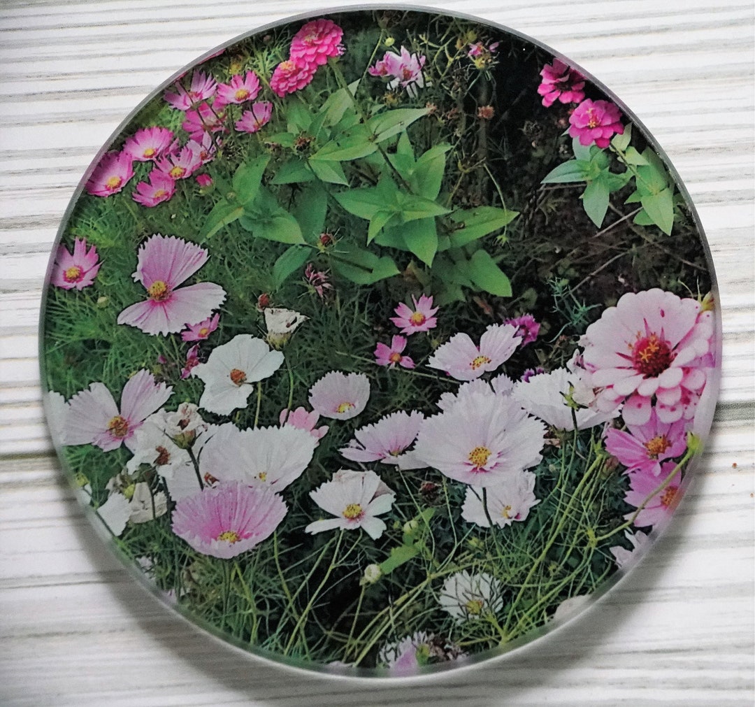 Set of 4 Round Glass Coasters Wildflowers Save the Finish on Your