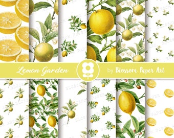 LEMON Digital Paper, Lemonade Printable Collage Sheet for Scrapbooking, party decor, paper crafts, journaling   Instant Download  - 2379