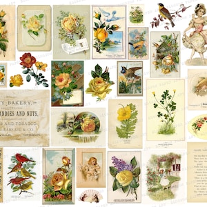 Gelbe Ephemera, Digitaler Download Vintage Grafiken, Junk Journal Floral Postkarten, Scraps, Vögel, Texte 2449