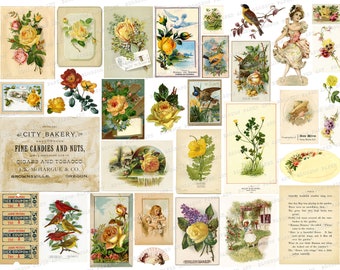 Yellow Ephemera, Digital Download Vintage Graphics, Junk Journal Floral Postcards, Scraps, Birds, Texts 2449