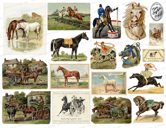 HORSE Printables Horse Digital Download Horse Ephemera - Etsy