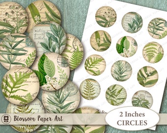 2 inches circles BOTANICAL Digital Collage Sheet 2 inches Circles Printable Collage Sheet VIntage Botanical Instant Download 2210