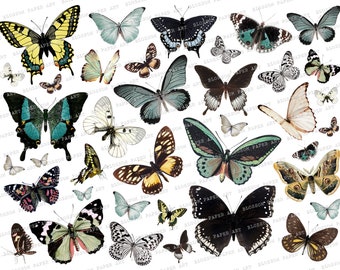 Vintage Butterflies Printable Collage Sheet, Junk Journal Butterfly Digital Collage Sheet Digital Download 2473