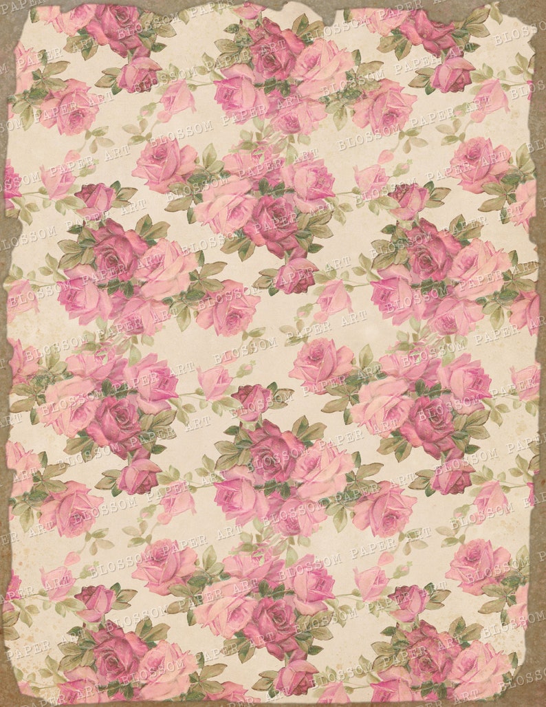 Vintage Roses Scrapbook Paper Floral Paper A4 85x11 Sheets - Etsy