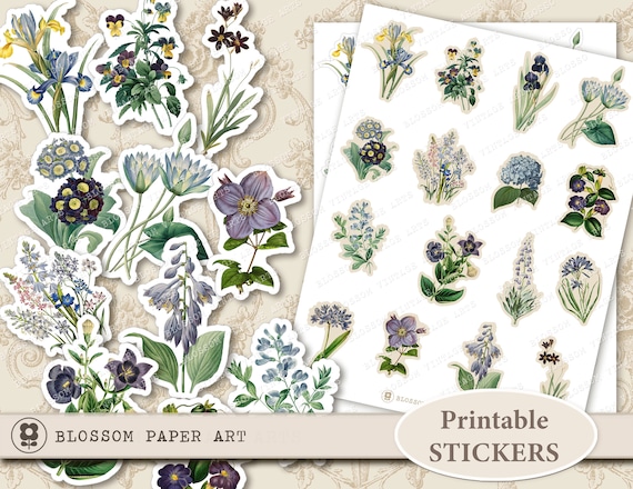 Buy Digital Download FLOWERS Stickers Digital Collage Sheet Printable Sheet  Floral Stickers Vintage Flowers Instant Download 2252 Online in India 