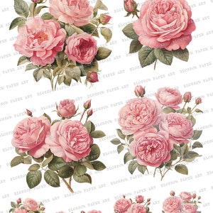 Printable Roses, Shabby Rose Images for Junk Journal, Scrapbooking ...