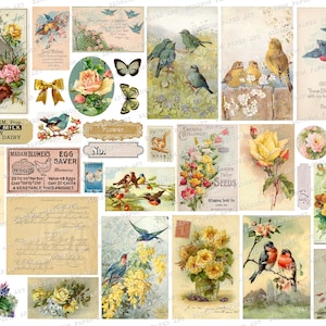 Druckbare Ephemera, Vintage Collage Blatt FLORAL Vintage Rosen, Postkarten, Zahlen, digitale Collage Blatt digitaler Download 2668