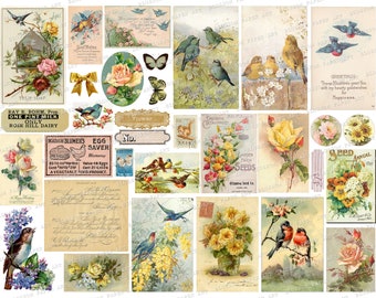 Vintage Floral Ephemera: Roses, Postcards Collage Sheet (Digital Download)
