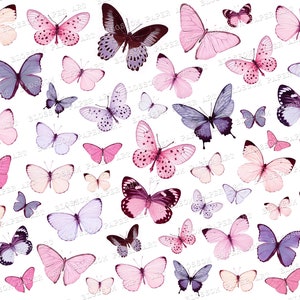 Puede incluir: Una colección de mariposas coloridas con alas rosadas, moradas y blancas. Las mariposas están dispuestas en un patrón aleatorio sobre un fondo blanco.