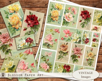 Floral Ephemera, Green Vintage Postcards, Printable Flowers for Junk Journal, Digital Collage Sheet, Printable Roses 2364