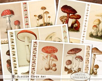 Vintage Mushroom Ephemera: Printable Fungi Images (Digital Download)