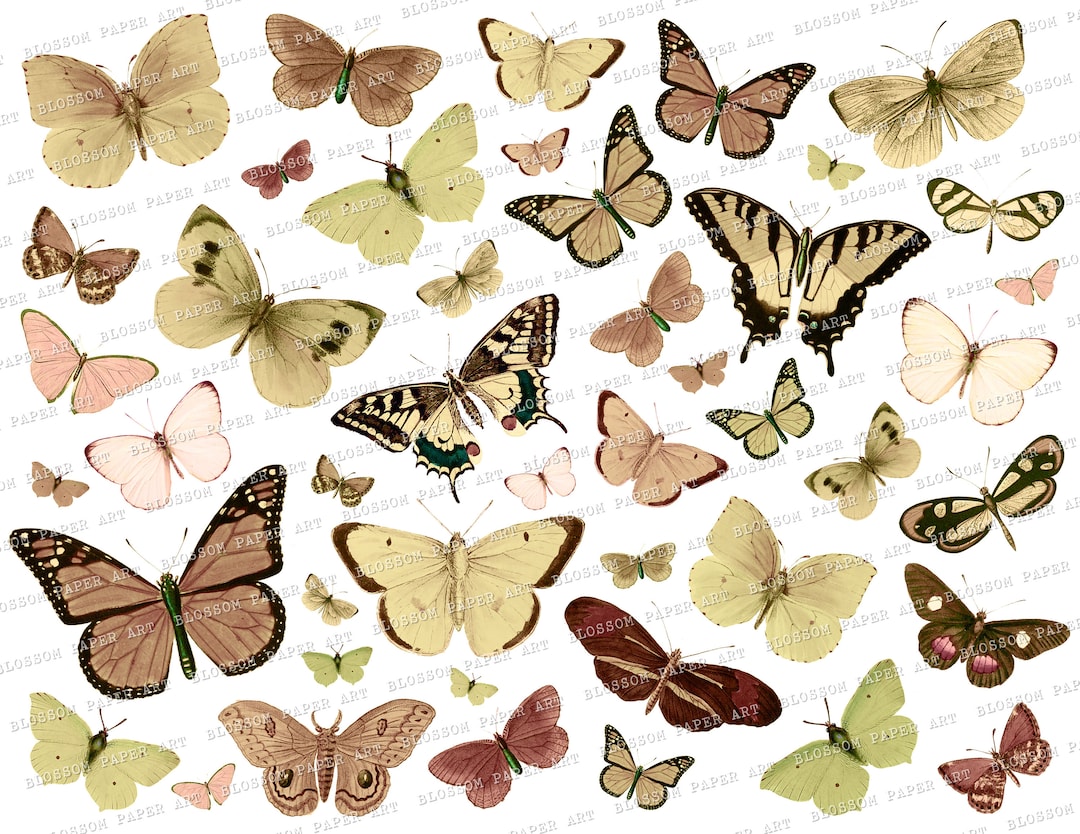 Butterflies Collage Sheet Digital Scrapbooking, Vintage Scrapbook Junk