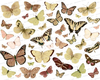 Butterflies Collage Sheet Digital Scrapbooking, Vintage Scrapbook - Junk Journal Printables - Download Image - Decoupage - Clipart - 2468