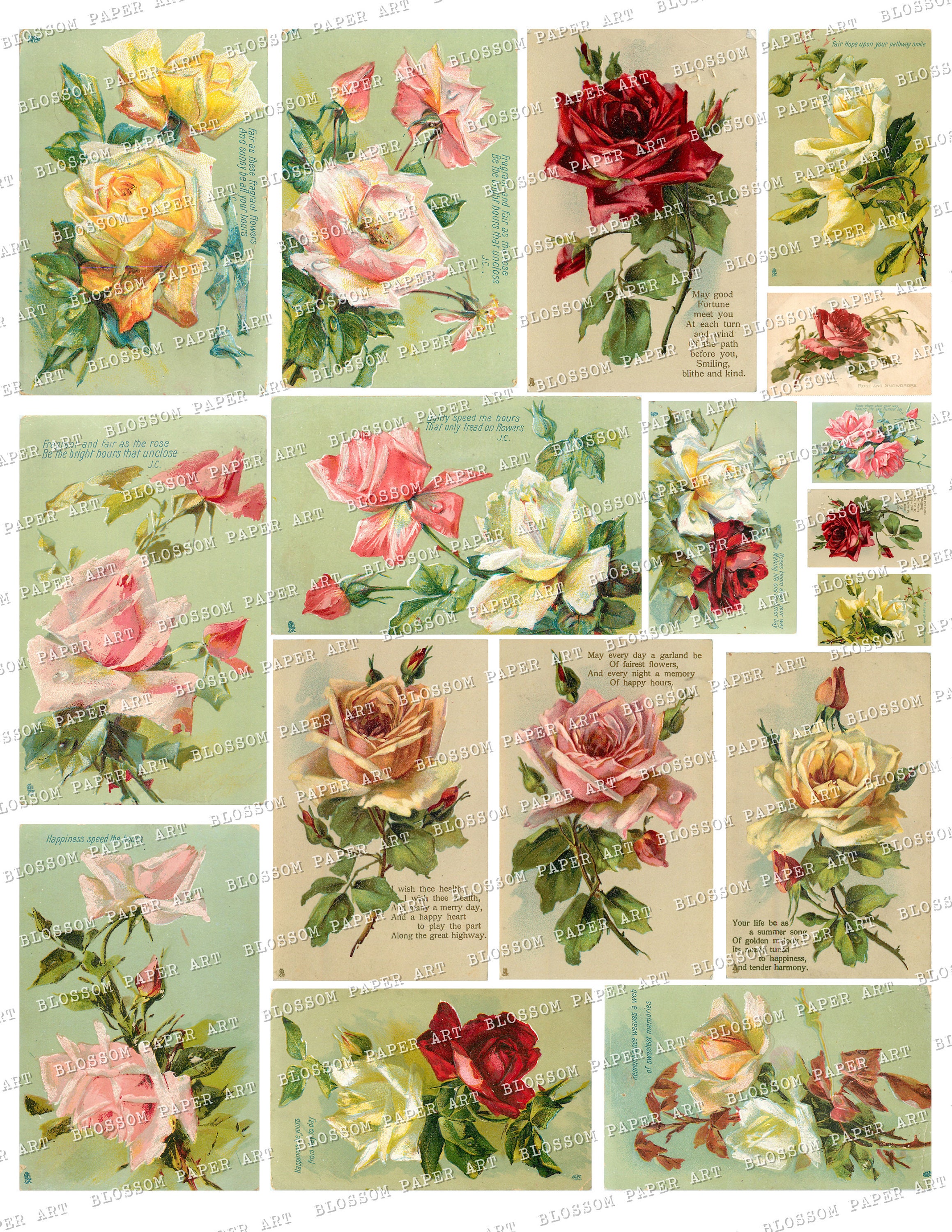 Floral Ephemera Green Vintage Postcards Printable Flowers Etsy