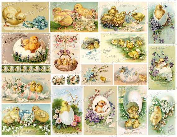 映画ポストカード40枚以上ヴィンテージシルバー 額