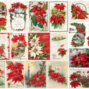Tarjetas de Navidad poinsettia, Vintage Christmas Ephemera, Junk Journal Christmas Postcards, Tarjetas imprimibles 2864