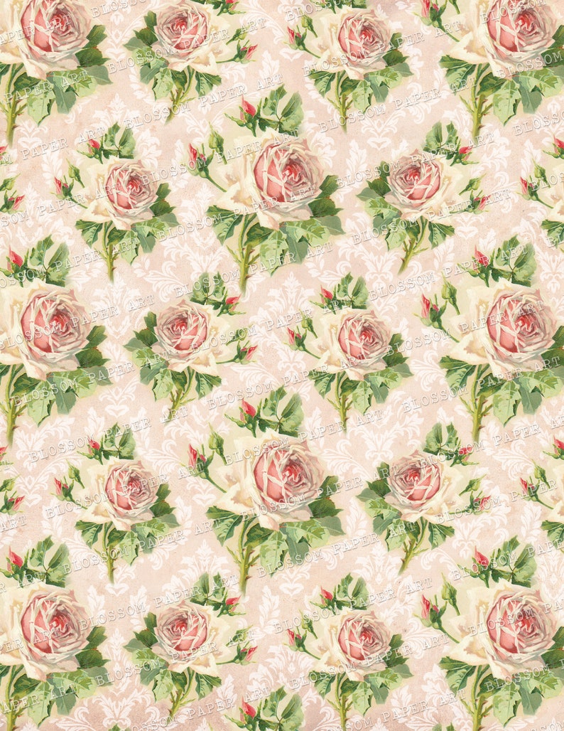 Rose Digital Paper Floral Scrapbook Paper Vintage Rose Etsy