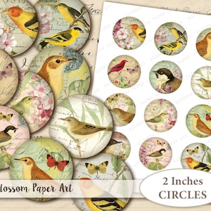 2 inches BIRDS VIntage Circles Digital Collage Sheet 2 inches Circles Printable Collage Sheet VIntage Botanical Instant Download 2212