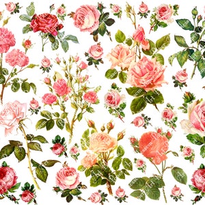 Pode incluir: Um pacote de papel digital com uma variedade de rosas cor-de-rosa e brancas com folhas verdes. As rosas est&atilde;o dispostas em um padr&atilde;o aleat&oacute;rio sobre um fundo branco.