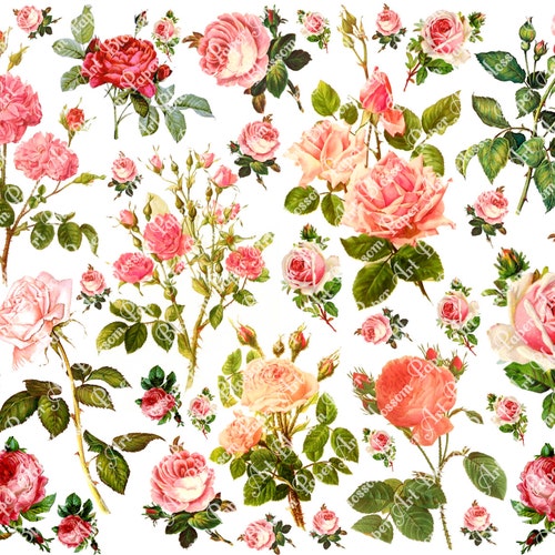 Pink Roses Collage Sheet Digital Flowers Scrapbooking - Etsy Canada
