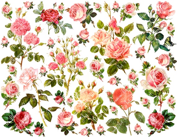 Pink Roses Collage Sheet, Floral Printable Images for Scrapbooking and Crafts (Instant Download) - 1610