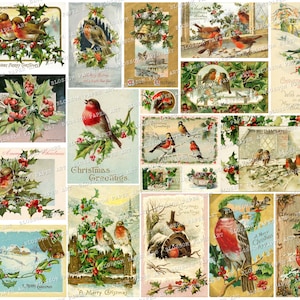 Vintage Christmas Cards, Christmas Ephemera, Birds, Christmas Holly ...