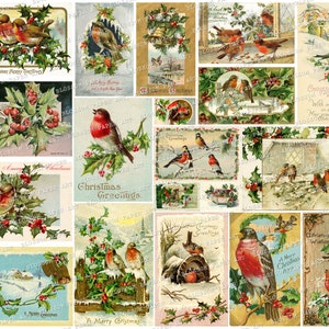 Cartoline di Natale vintage, Effimero di Natale, Uccelli, Cartoline di Natale Holly, Immagini di riviste spazzatura, Ritagli stampabili di Natale, Collage 2863