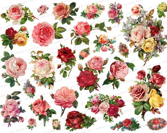 Roses Digital Collage Sheet, Vintage Roses Images - Scrapbooking Paper - Scrapbook - Blossom Paper Art 2464