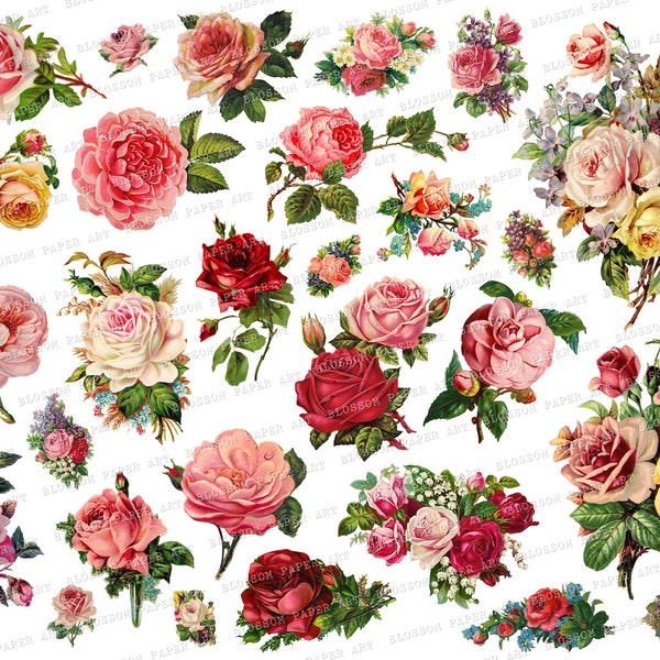 Roses Digital Collage Sheet, Vintage Roses Images - Scrapbooking Paper - Scrapbook - Blossom Paper Art 2464