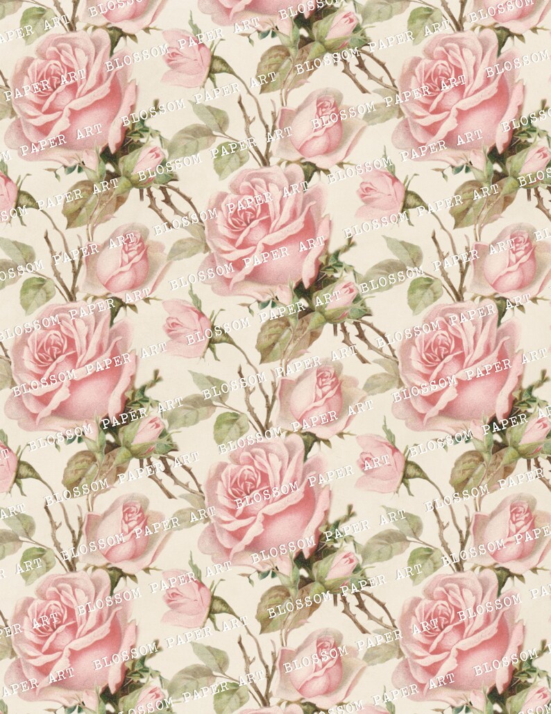 Vintage Digital Paper Roses Scrapbook Paper Floral Collage Etsy