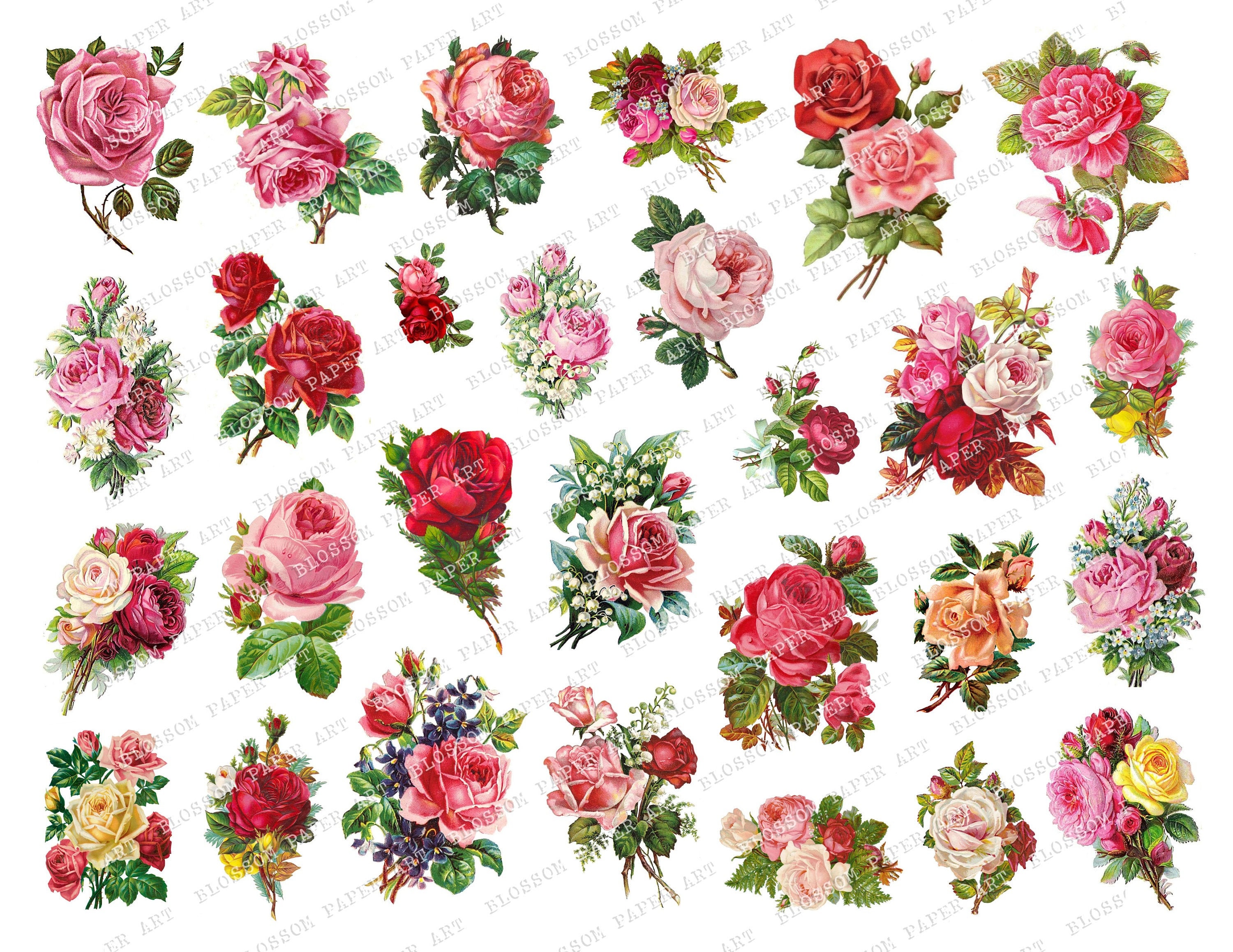 【ビンテージ レトロ ユーロアンティーク】薔薇の絵画2個セット ヴィンテージ絵画/薔薇 | 雑貨とアンティークのお店MALTOの入荷