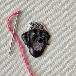 Puede incluir: Un labrador retriever negro con una corona de flores en la cabeza. El perro est&aacute; mirando directamente a la c&aacute;mara con la boca ligeramente abierta. El fondo es una tela beige claro.
