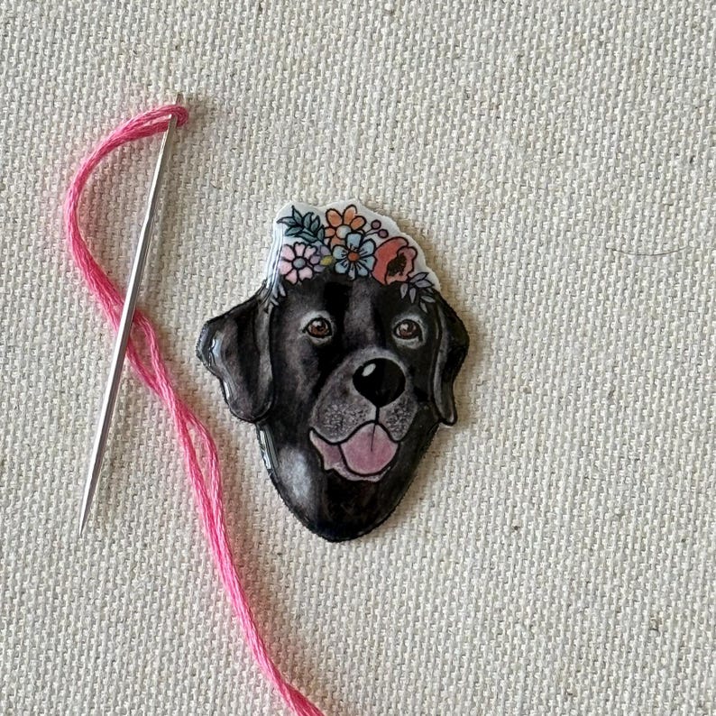 Puede incluir: Un labrador retriever negro con una corona de flores en la cabeza. El perro est&aacute; mirando directamente a la c&aacute;mara con la boca ligeramente abierta. El fondo es una tela beige claro.