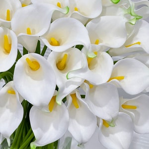 May include: A close-up of a bouquet of white calla lilies with yellow spadices and green stems. The edges of the petals have a subtle green trim. The flowers are arranged in a clear glass vase, creating a fresh and elegant floral display.