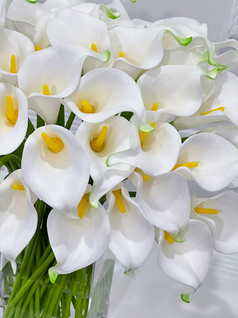 May include: A close-up of a bouquet of white calla lilies with yellow spadices and green stems. The edges of the petals have a subtle green trim. The flowers are arranged in a clear glass vase, creating a fresh and elegant floral display.