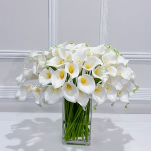 May include: A display of white calla lilies with yellow centres and green tips, presented in a clear, square glass vase. The flowers are set against a white backdrop, creating a clean and elegant aesthetic. The vase rests on a white surface.