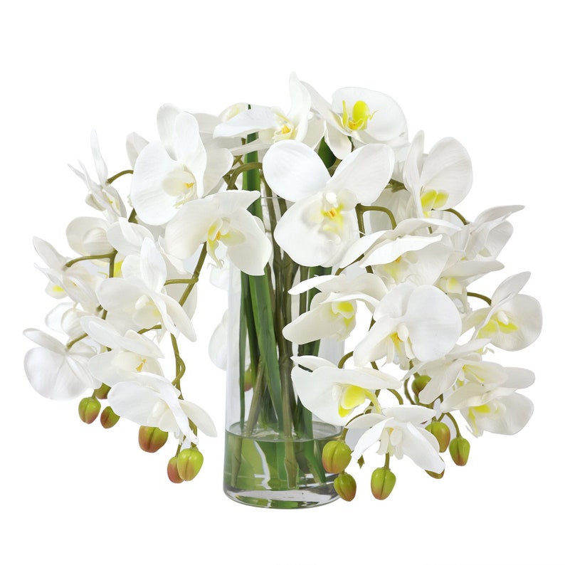May include: A white orchid arrangement in a clear glass vase. The orchids are arranged in a cascading style, with the flowers hanging down from the vase. The vase is filled with water and the stems of the orchids are visible.