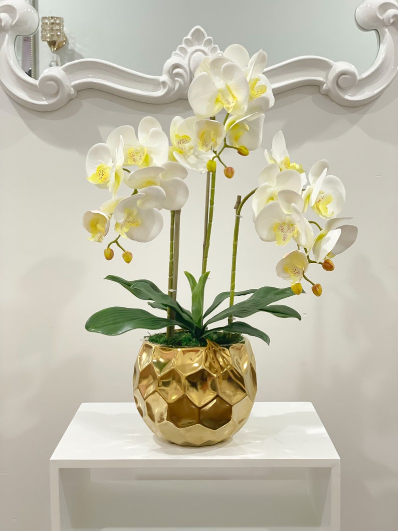 White Silk Orchid Arrangement W/ 3 Stems Phalaenopsis Orchids Etsy