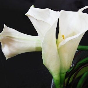 Arreglo de lirios de cala blancos con tacto real: centro de mesa con flores artificiales imagen 3