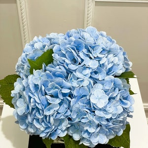 May include: A bouquet of light blue hydrangeas in a clear vase, sitting on a white surface with a book titled "Flowery" visible below.