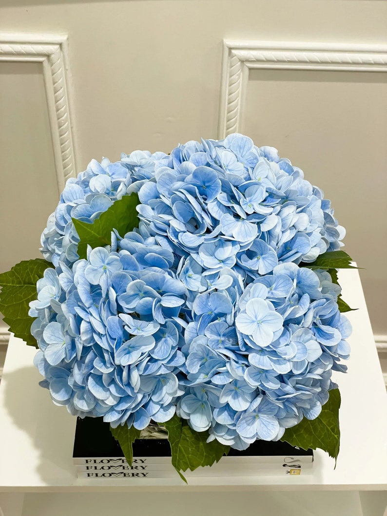 May include: A bouquet of light blue hydrangeas in a clear vase, sitting on a white surface with a book titled "Flowery" visible below.