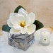 see more listings in the Magnolia Arrangements section