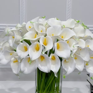 May include: A display of white calla lilies with yellow centres and green-edged petals, presented in a clear, square glass vase. The stems are bright green. The flowers are set against a white backdrop.