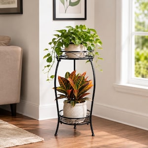 May include: A two-tier black metal plant stand with curved legs and circular shelves. The top shelf holds a white pot with a trailing green pothos plant, and the bottom shelf holds a speckled white pot with a multi-colored croton plant.