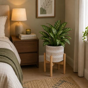May include: A green leafy plant in a white cylindrical planter with vertical brown stripes and a dotted pattern. The planter rests on a light-colored wooden stand with four legs. The plant has pointed, variegated leaves with dark and light green patterns.