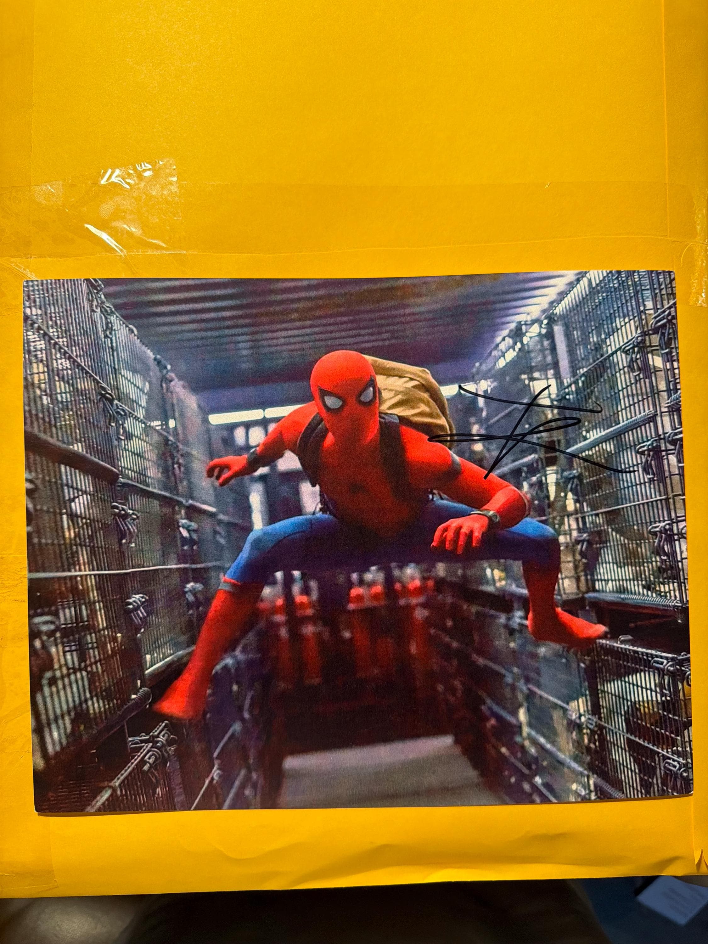Tom holland signed - Etsy 日本
