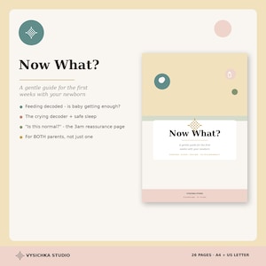 May include: A digital guide titled Now What? A gentle guide for the first weeks with your newborn. The document features a cream, yellow, and pink color palette with geometric accents. It includes sections on feeding, crying, sleep, and reassurance.