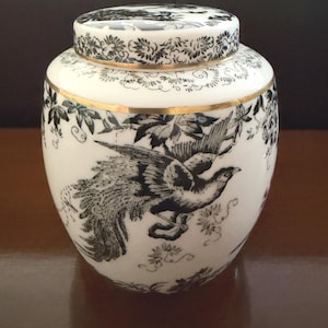 May include: A white ceramic ginger jar with a removable lid, featuring a detailed black ink illustration of a bird with a long tail surrounded by floral and vine motifs. The jar is accented with a thin gold band around the neck and lid rim.