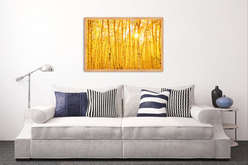 Colorado Wall Art Nature Prints Aspen Tree Wall Art Etsy