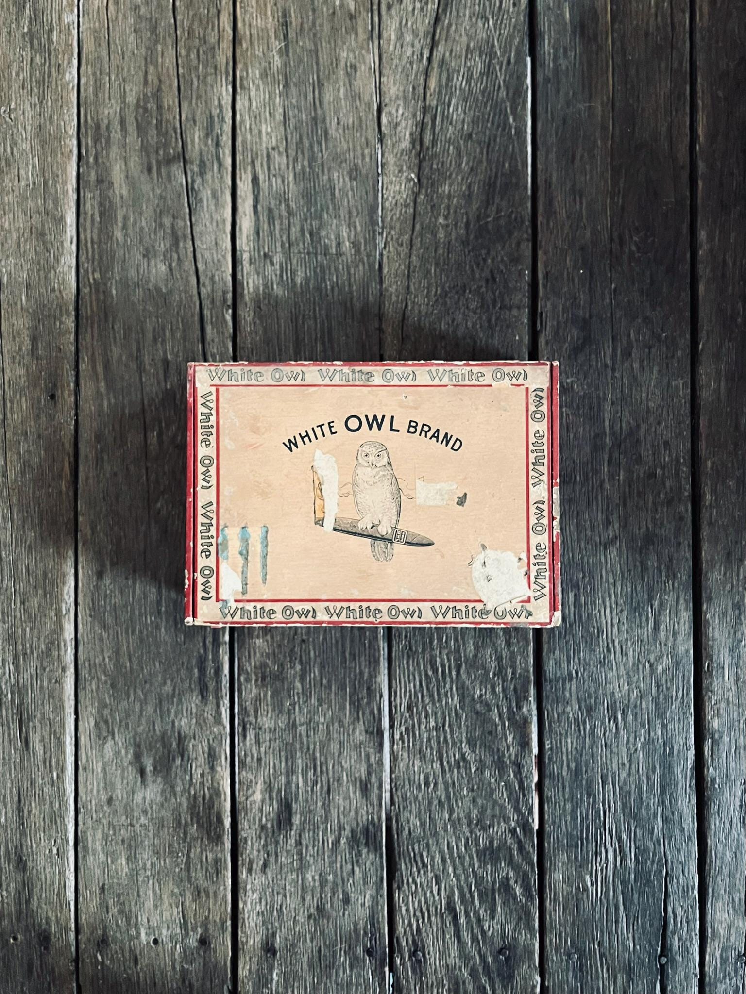 White owl cigar - Etsy 日本
